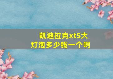 凯迪拉克xt5大灯泡多少钱一个啊