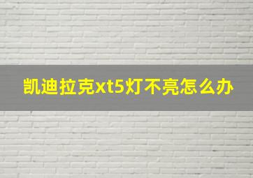 凯迪拉克xt5灯不亮怎么办