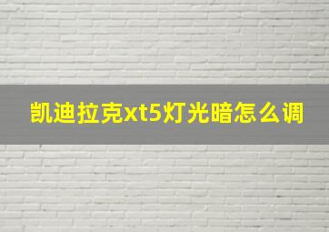 凯迪拉克xt5灯光暗怎么调