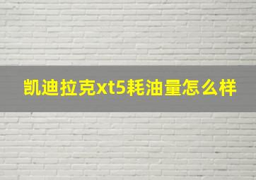 凯迪拉克xt5耗油量怎么样