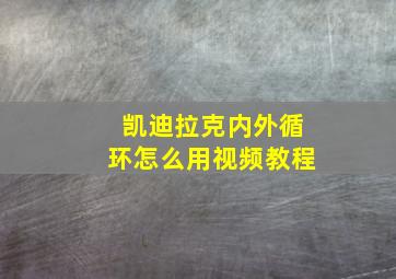 凯迪拉克内外循环怎么用视频教程