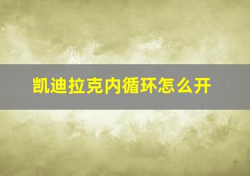 凯迪拉克内循环怎么开