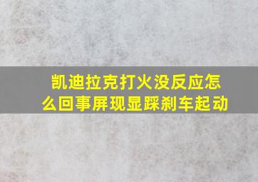 凯迪拉克打火没反应怎么回事屏现显踩刹车起动