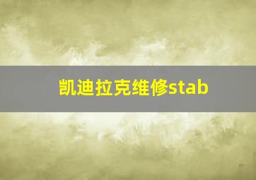 凯迪拉克维修stab