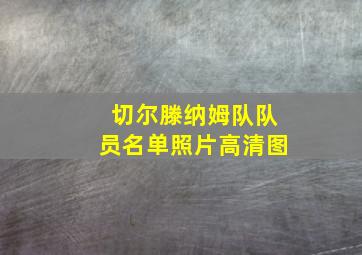 切尔滕纳姆队队员名单照片高清图