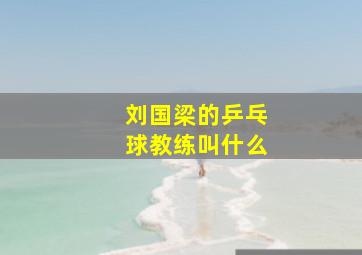 刘国梁的乒乓球教练叫什么