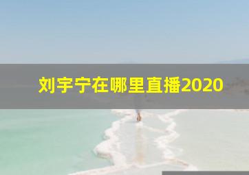 刘宇宁在哪里直播2020