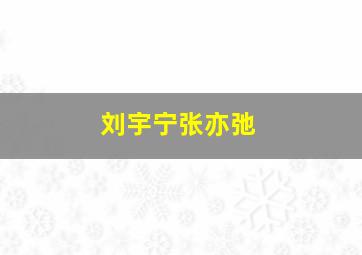 刘宇宁张亦弛