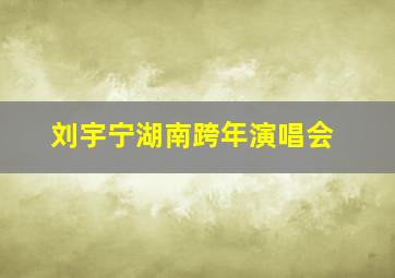 刘宇宁湖南跨年演唱会