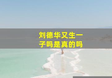 刘德华又生一子吗是真的吗