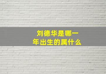 刘德华是哪一年出生的属什么