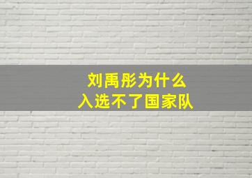 刘禹彤为什么入选不了国家队