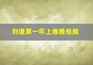 刘谦第一年上春晚视频