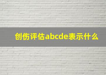 创伤评估abcde表示什么