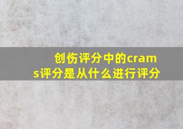 创伤评分中的crams评分是从什么进行评分