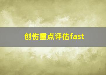 创伤重点评估fast