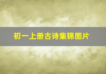 初一上册古诗集锦图片