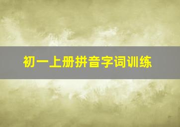 初一上册拼音字词训练