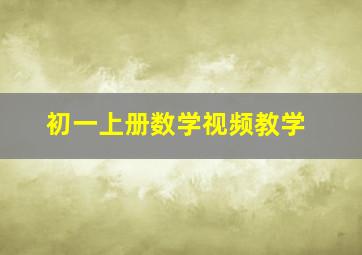 初一上册数学视频教学