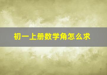 初一上册数学角怎么求