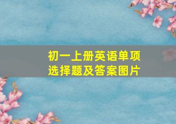 初一上册英语单项选择题及答案图片