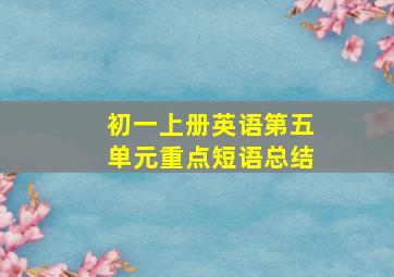 初一上册英语第五单元重点短语总结