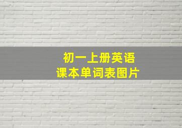 初一上册英语课本单词表图片