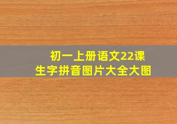 初一上册语文22课生字拼音图片大全大图