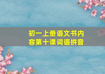 初一上册语文书内容第十课词语拼音