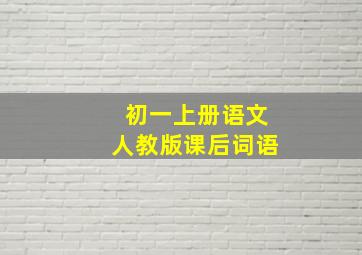 初一上册语文人教版课后词语