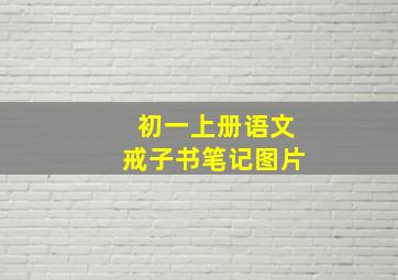 初一上册语文戒子书笔记图片