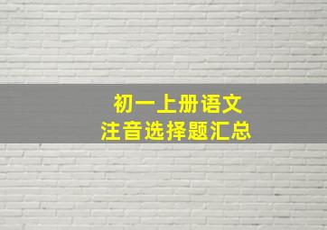 初一上册语文注音选择题汇总