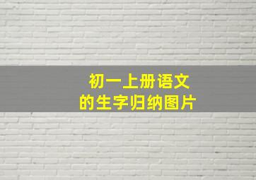 初一上册语文的生字归纳图片