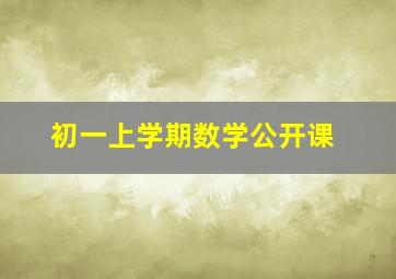 初一上学期数学公开课