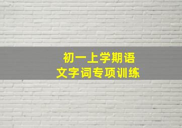 初一上学期语文字词专项训练