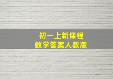 初一上新课程数学答案人教版