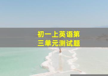 初一上英语第三单元测试题