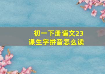 初一下册语文23课生字拼音怎么读