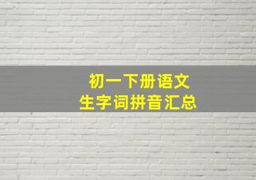 初一下册语文生字词拼音汇总