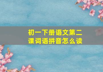 初一下册语文第二课词语拼音怎么读