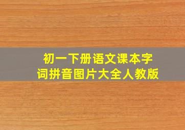 初一下册语文课本字词拼音图片大全人教版