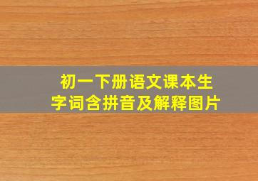 初一下册语文课本生字词含拼音及解释图片