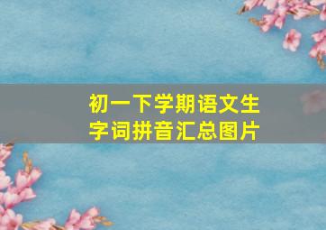 初一下学期语文生字词拼音汇总图片