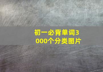 初一必背单词3000个分类图片