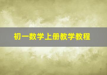 初一数学上册教学教程