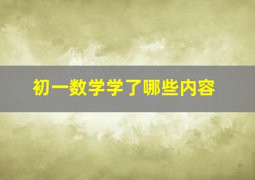 初一数学学了哪些内容