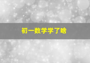 初一数学学了啥