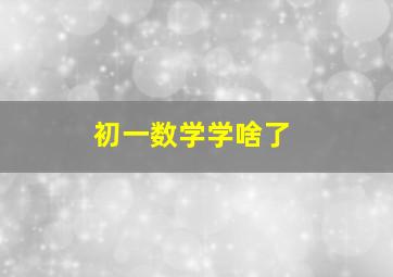 初一数学学啥了