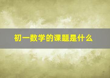 初一数学的课题是什么