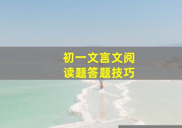 初一文言文阅读题答题技巧